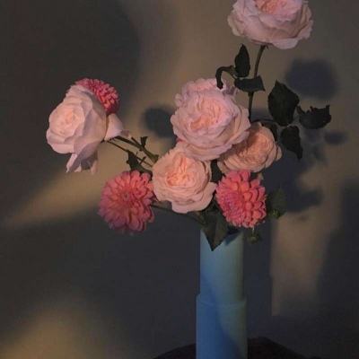 bob体育APP下载链接