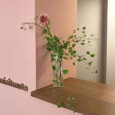 pg游戏麻将胡了网址